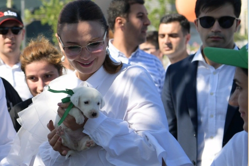 Qənirə Paşayeva “Toplan”dakı bir itə sahib çıxıb