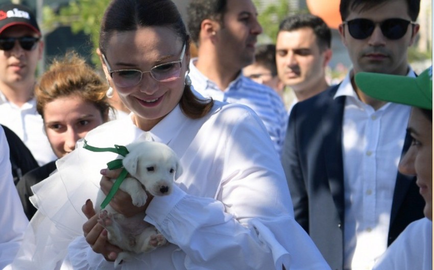 Qənirə Paşayeva “Toplan”dakı bir itə sahib çıxıb