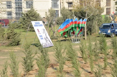 Bakıda Zəfər Günü münasibətilə ağacəkmə aksiyası keçirilib