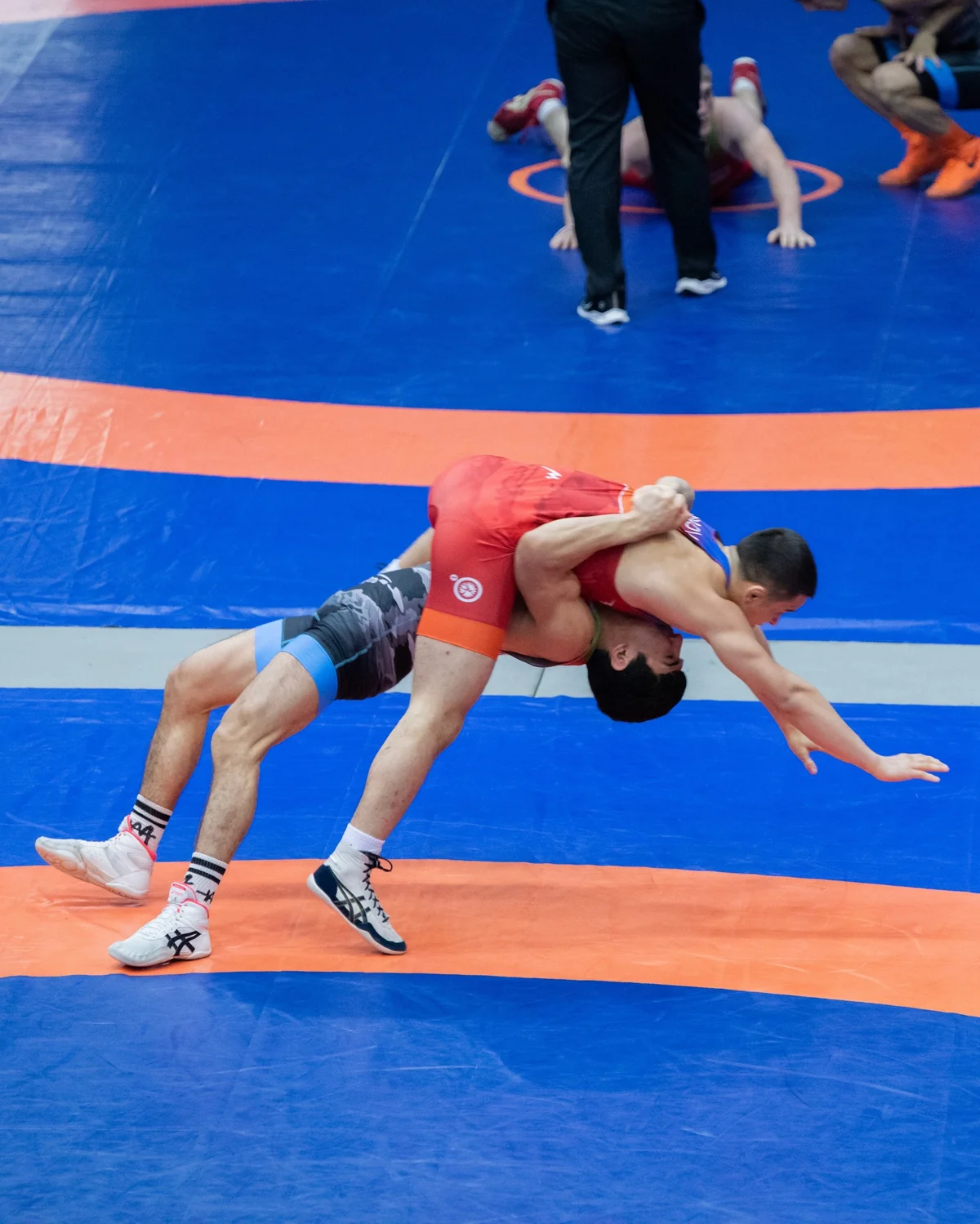 Güləş üzrə Azərbaycan çempionatına yekun vurulub