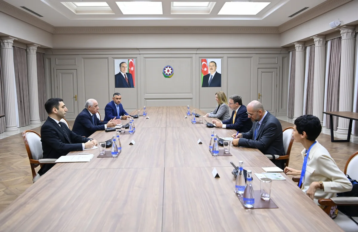 Azerbaijan, UNDP discuss long-term effective partnership