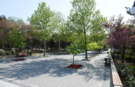 ​Президент Ильхам Алиев ознакомился с условиями, созданными в Гейдар парке