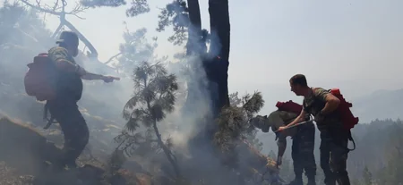 Azərbaycan yanğınsöndürənləri Türkiyədə yanğınlarla mübarizəni davam etdirir