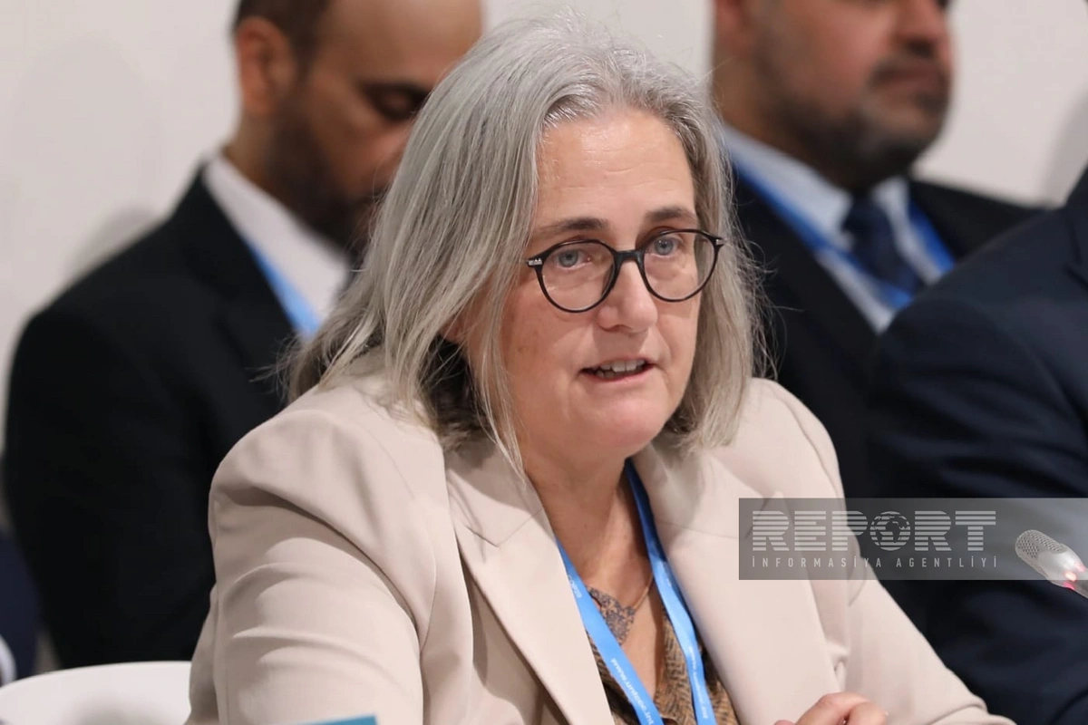 WCO Official: Customs authorities should stimulate green trade dev’t