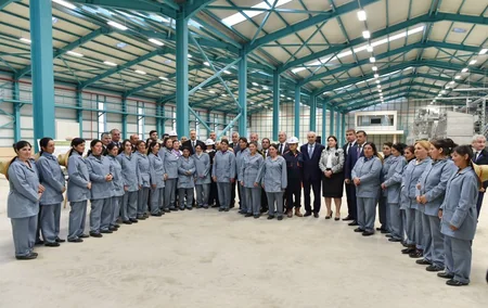 Azərbaycan ​Prezidenti “Astaraçay” MMC-nin çay emalı fabrikində yaradılan şəraitlə tanış olub