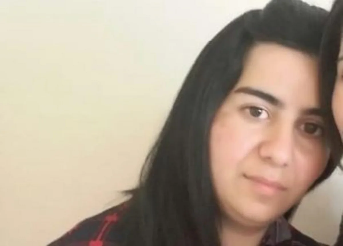 Tərtərdən Qazaxa gedərkən yolda itkin düşən qadın tapılıb - FOTO