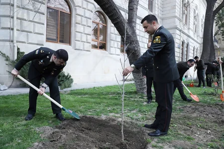 Dövlət Xidməti növbəti dəfə ağacəkmə aksiyası keçirdi