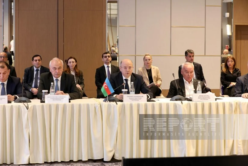 Minister of Energy: Azerbaijan ready to cooperate with Kazakhstan in renewable energy