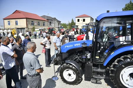 Şamaxıda növbəti toxum sərgi-satış yarmarkası keçirilib
