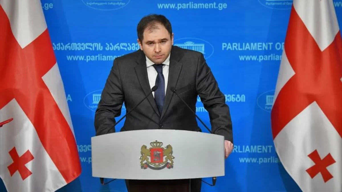 Komitə sədri: “Gürcüstan bölgədə mediator funksiyasını özünə qaytarır”