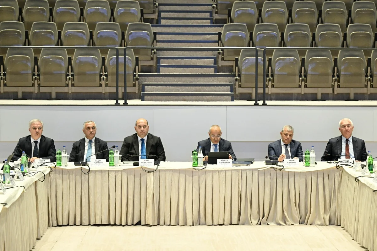 Mikayıl Cabbarov: Azərbaycanın qeyri-neft-qaz sektoru üzrə ÜDM-i üç ildə 1,2 dəfə artıb