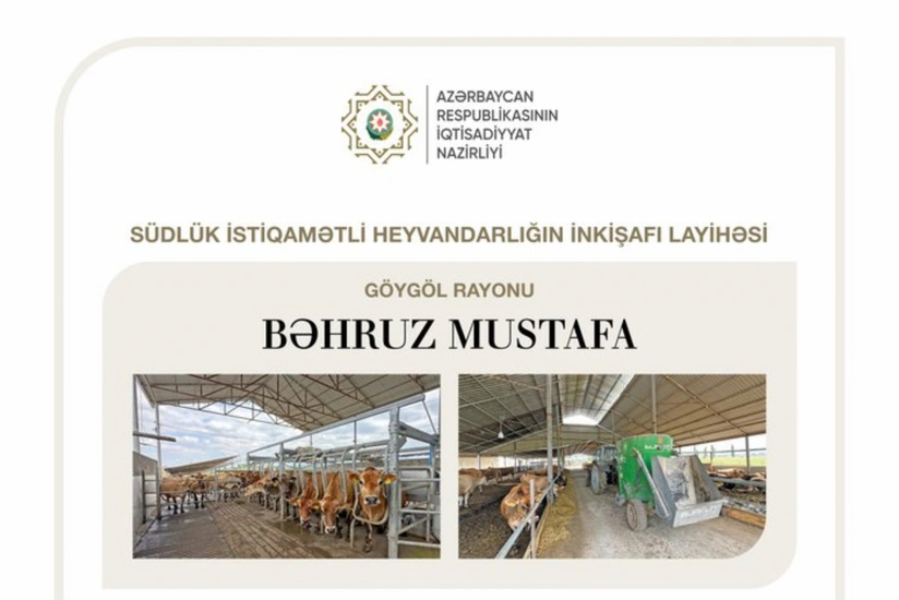 Preferential loan allocated for dairy farming project in Azerbaijan