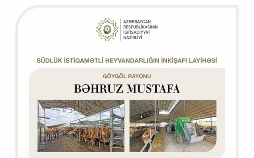 Azərbaycanda südlük istiqamətli heyvandarlığın inkişafı layihəsinə güzəştli kredit ayrılıb