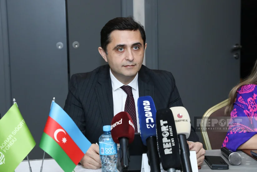Aqrar Sığorta Fondu: Azərbaycanda əkinə yararlı ərazinin 1/4-i sığortalanır