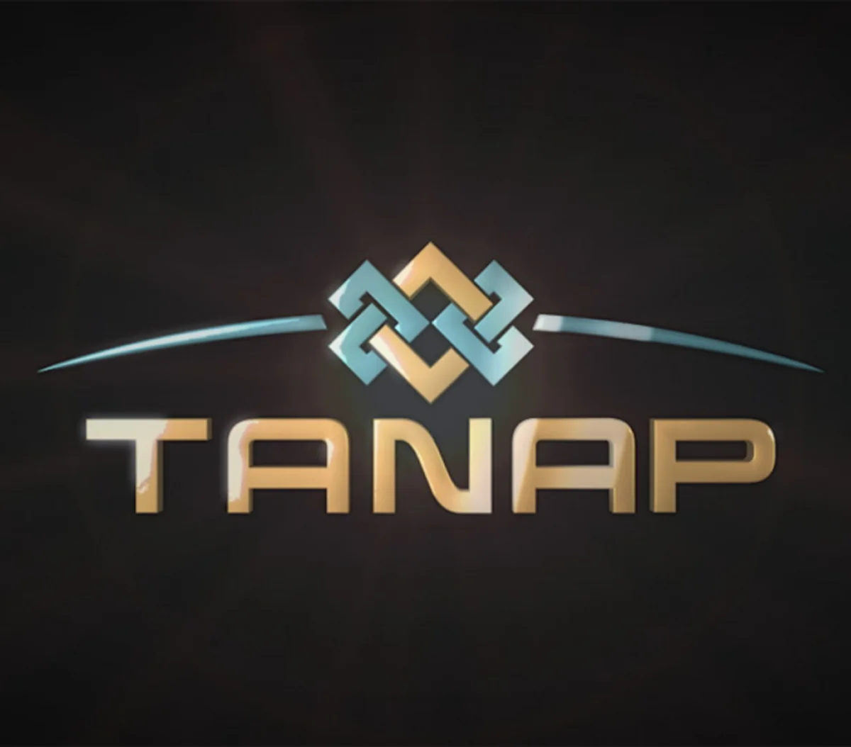 ​TAP və TANAP-ın istismara veriləcəyi tarix bəlli olub