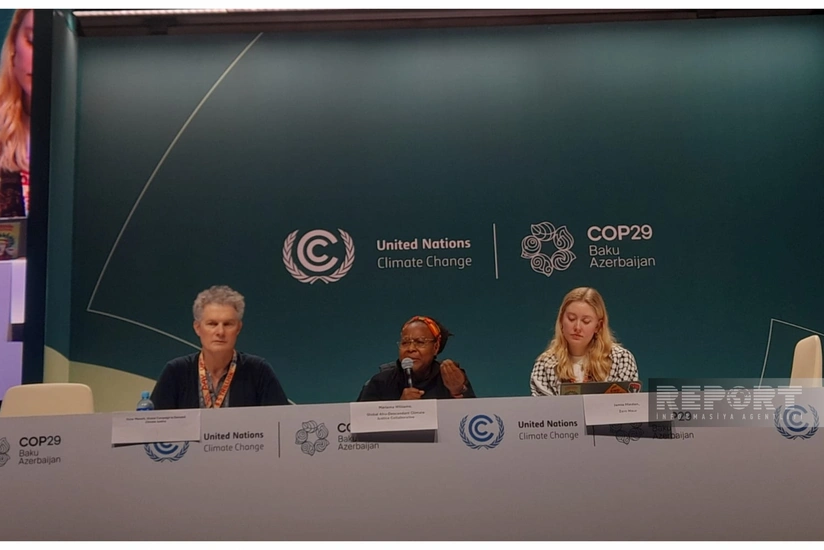 Yamaykalı mütəxəssis: Hazırda iqlim maliyyə öhdəliklərinin yerinə yetirilməsinə ehtiyac var