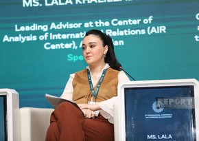 Эксперт ЦАМО: Главная цель борьбы с исламофобией - заглушить ненависть