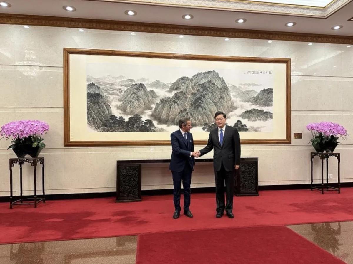 IAEA thanks Chinese FM for supporting idea of security zone around ZNPP