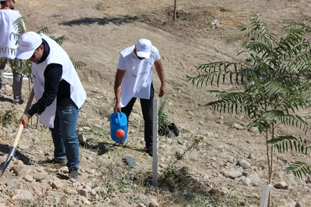 “Buta Supply şirkətinin təşəbbüsü ilə Zəngilan rayonunda 3000-ə yaxın ağac əkilib