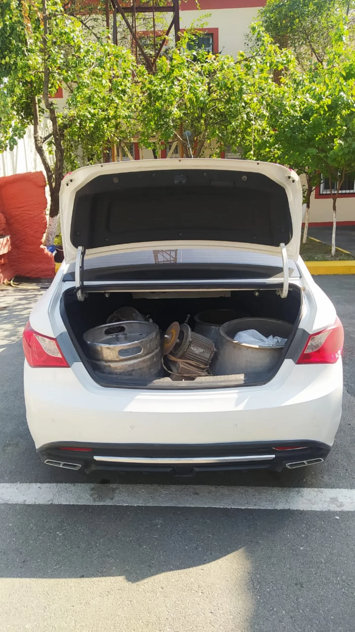 Şəkidə oğurluq edən dayı-bacıoğlu saxlanılıb