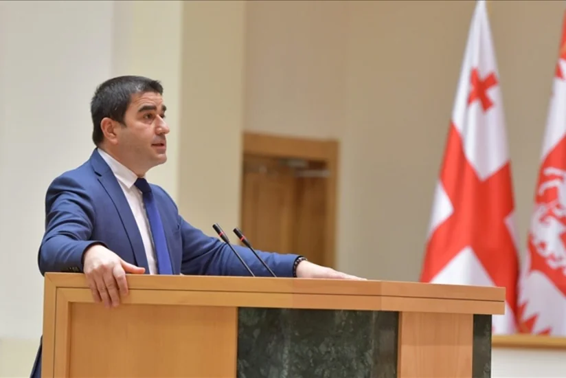 Спикер парламента Грузии намерен подписать закон об иноагентах вместо президента