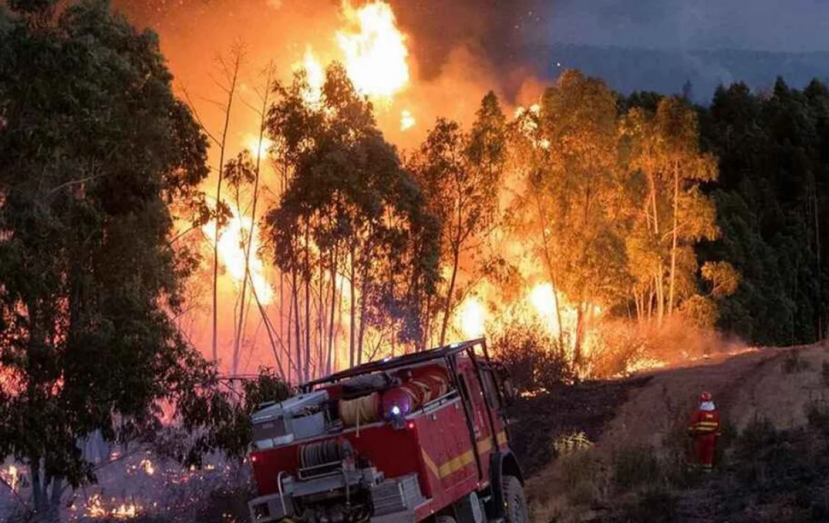 Over 3,000 people evacuated in Spain due to forest fire