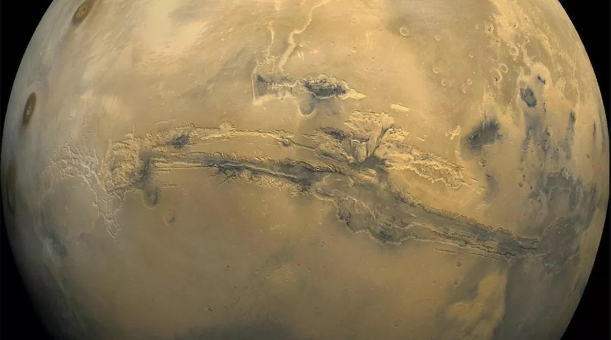 German scientists find organisms capable of living on Mars