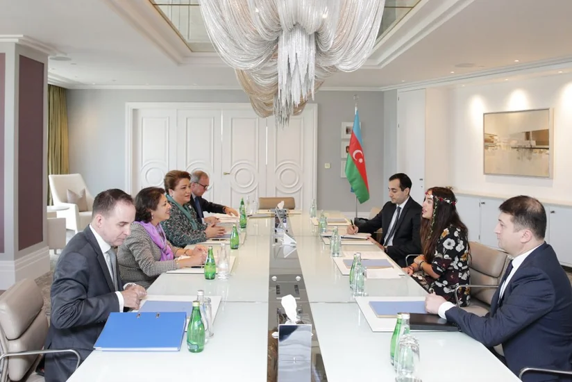Leyla Aliyeva meets with the UNICEF Regional Director