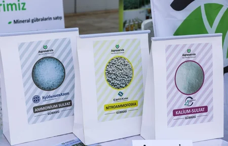 Cəlilabadda “Kartofçuluq üzrə toxum, texnika sərgi-satış yarmarkası” keçirilib