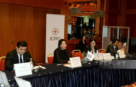 Round table on protecting persons with disabilities and mine victims organized in Baku