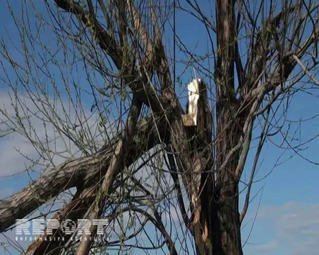 Güclü külək Ağstafada bir sıra fəsadlar törədib - FOTO