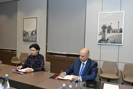 Ceyhun Bayramov Meksikanın yeni təyin olunmuş səfiri ilə görüşüb