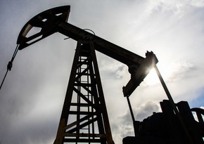 Эксперт: Меморандум о месторождении Достлуг окажет положительное влияние на тюркский мир