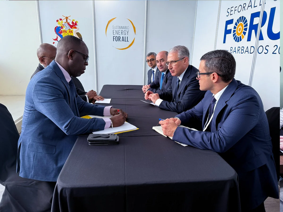 COP29 Presidency discusses green investments and energy transition with key partners