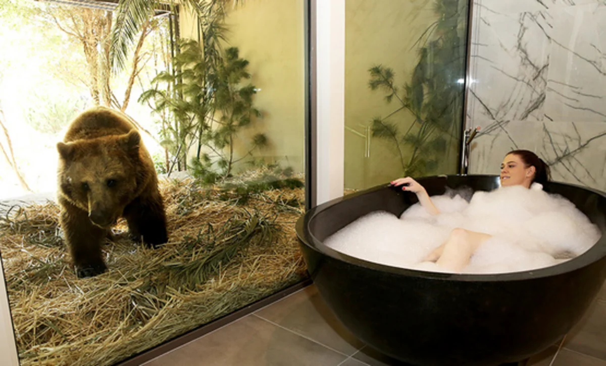 ​İngiltərədə turistlərə zooparkda nömrələr təklif olunur