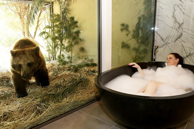 ​İngiltərədə turistlərə zooparkda nömrələr təklif olunur