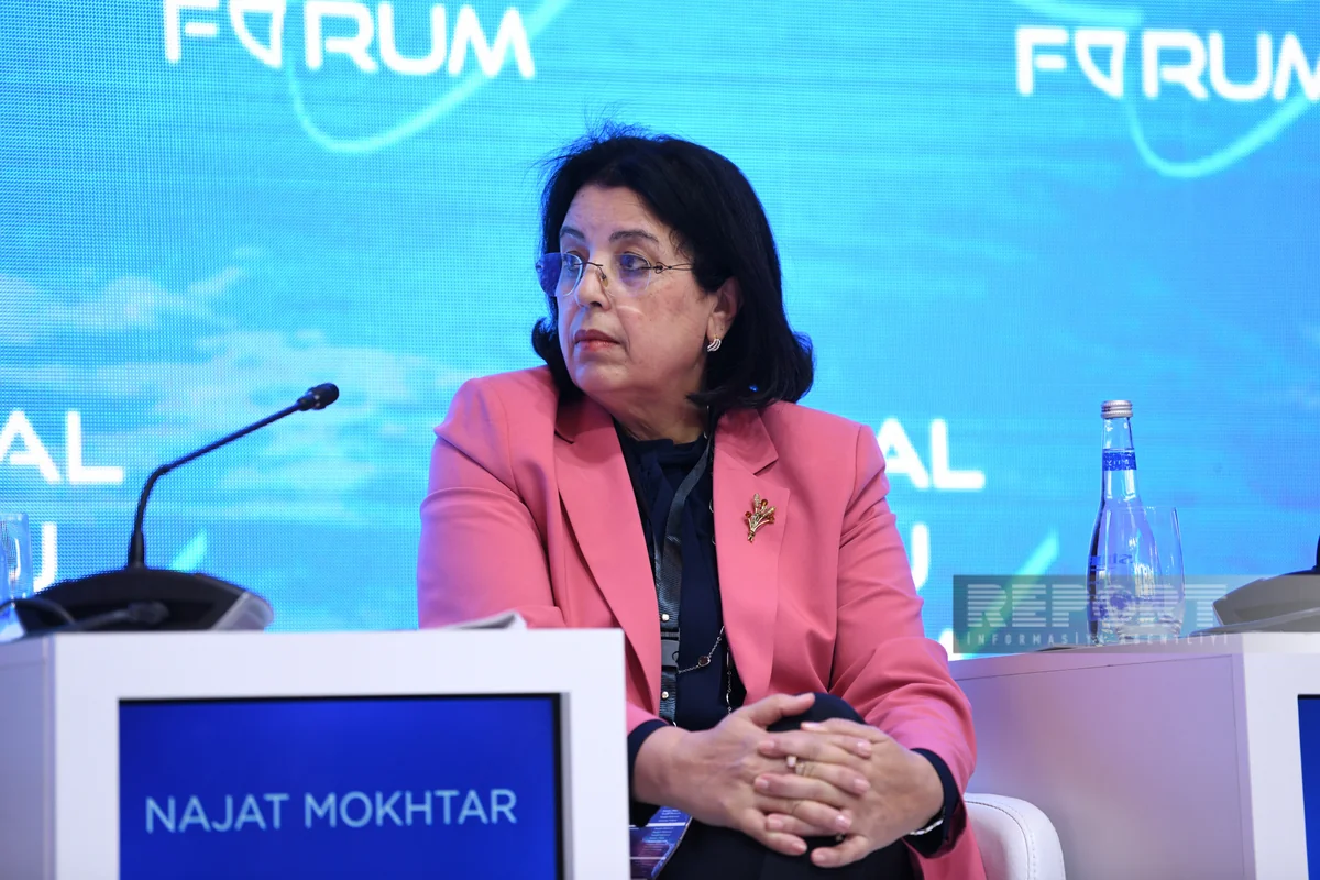 Najat Moxtar: Səhiyyəyə investisiyalar insan kapitalına qoyulan sərmayələrdir