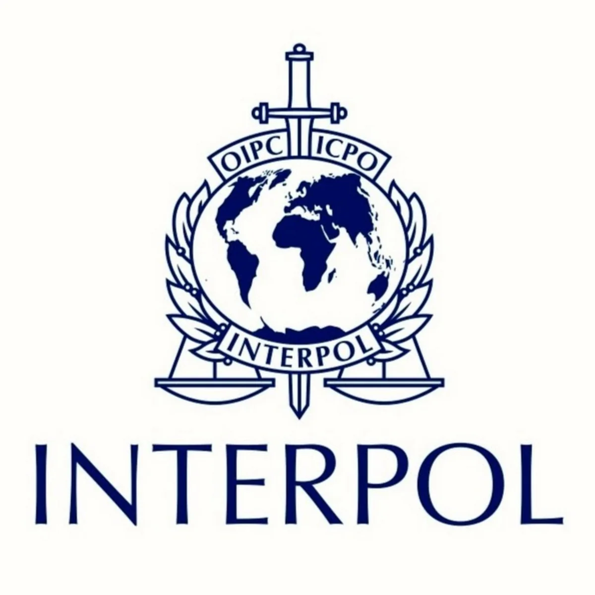 New president of Interpol elected