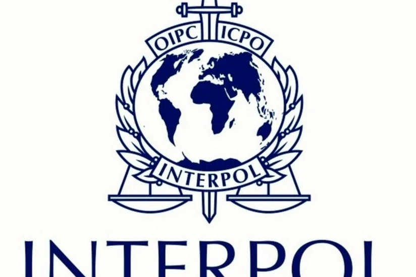 Избран новый президент Интерпола