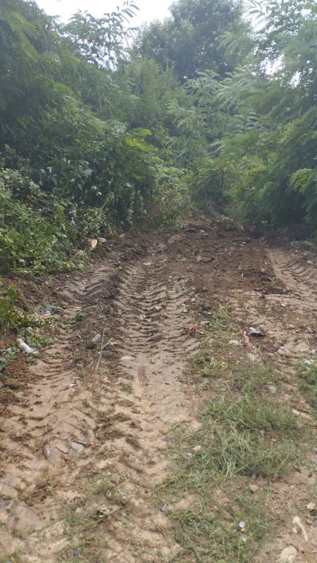 Qubada iki kəndin bələdiyyə sədri cərimələnib