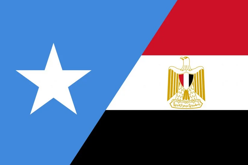Somali Misirdən ordu üçün hərbi texnika istəyib