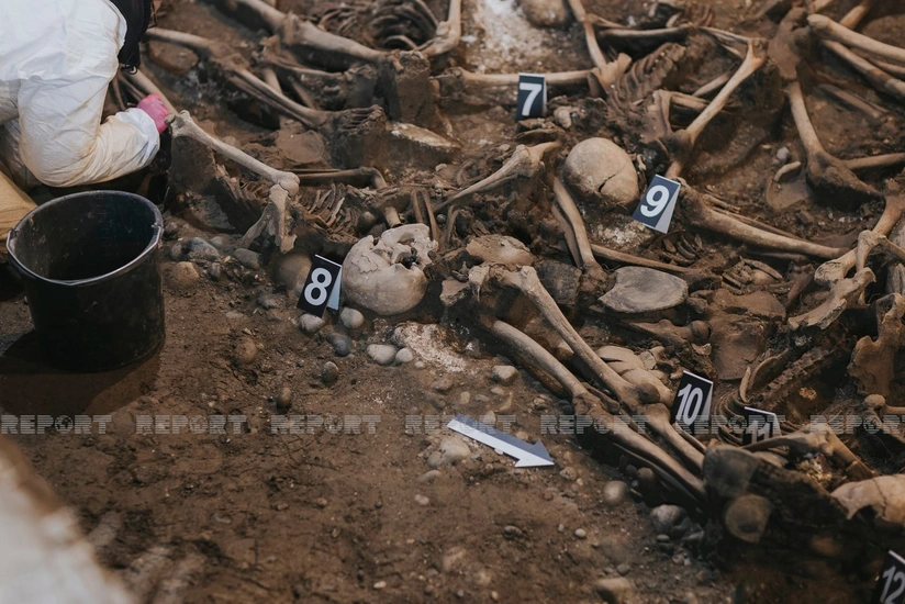 Gürcüstanda azərbaycanlı repressiya qurbanının qalıqlarının identifikasiyası aparılacaq