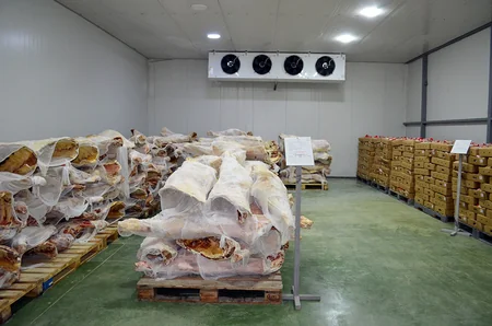 New military facilities commissioned in liberated territories