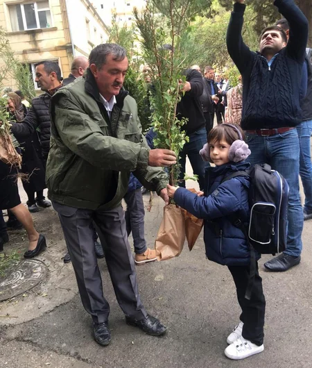 Bakıda yeni yaşıllıqların salınması məqsədilə vətəndaşlara pulsuz tinglər paylanılıb