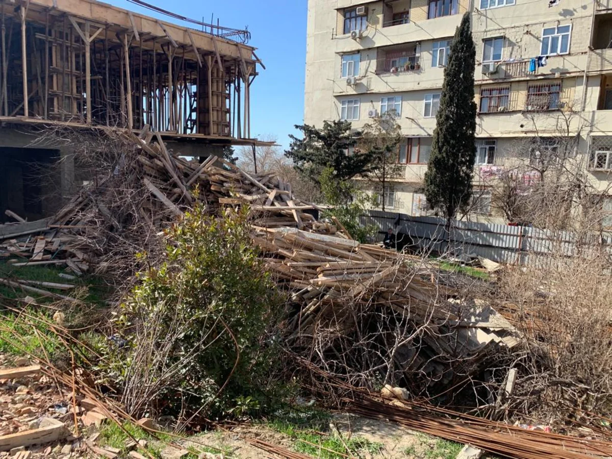Bir neçə rayonda şirkətlər ağacları qanunsuz kəsib
