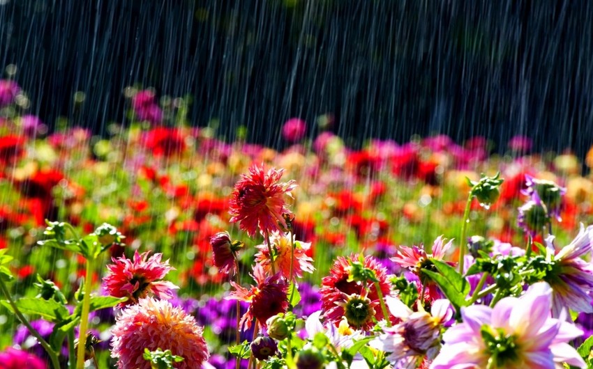 Thunderstorm and heavy rain predicted in Azerbaijan - WARNING