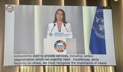 Azərbaycan səfiri BMT Okean Konfransında Xəzər dənizindəki mühafizə tədbirlərindən danışıb