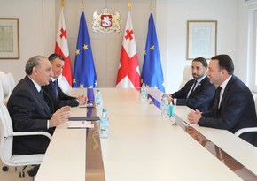 Генпрокурор Азербайджана встретился с премьер-министром Грузии