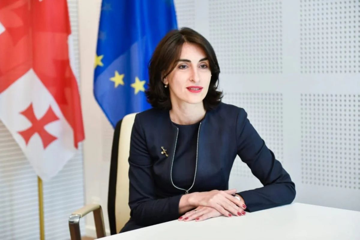 Maka Boçorişvili: Azərbaycan Prezidenti ilə keçirilən görüş olduqca əhəmiyyətli idi
