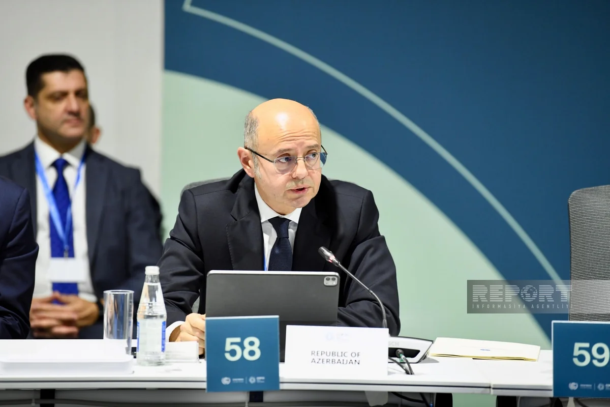 Energy minister: Baku attaches great importance to co-op with Central Asian countries in implementing renewable energy projects